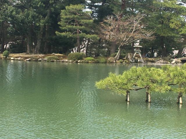 兼六園の無料開放も今日で終わり！