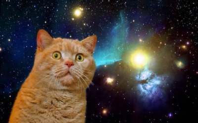 20250503_185216.png
