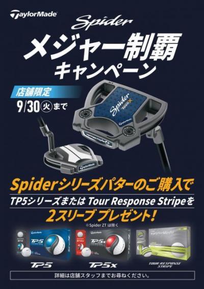 Spider-CP-A4_page-0001.jpg