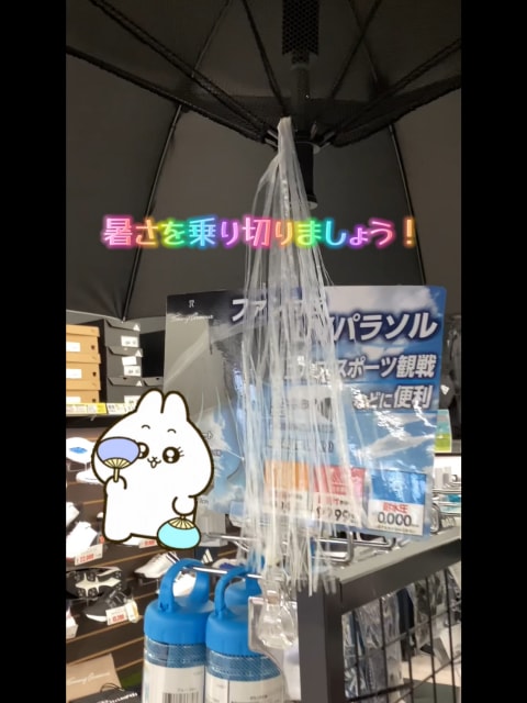 暑さ対策してますか？