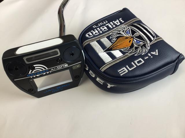 ☆★Ａｉ－ＯＮＥ　ＪＡＩＬＢＩＲＤ　ＭＩＮＩ　ＤＢ　３４インチ★☆