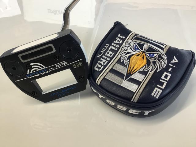 ☆★Ａｉ－ＯＮＥ　ＪＡＩＬＢＩＲＤ　ＭＩＮＩ　ＤＢ　３４インチ★☆