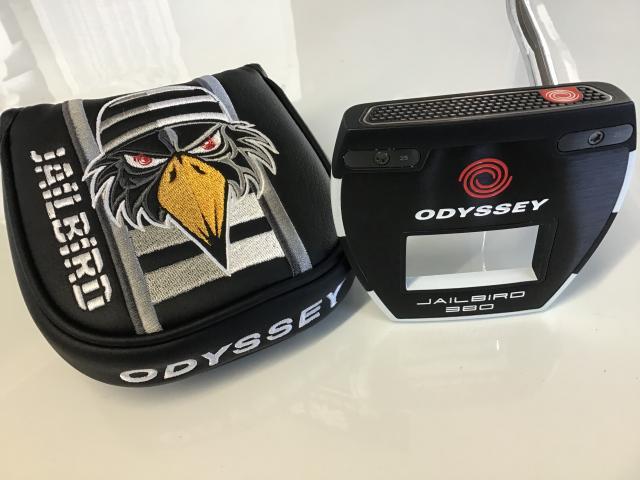 ☆★　ＶＥＲＳＡ　ＪＡＩＬＢＩＲＤ　３８０　ＬＩＭＩＴＥＤ　ＥＤＩＴＩＯＮ　３９インチ ★☆