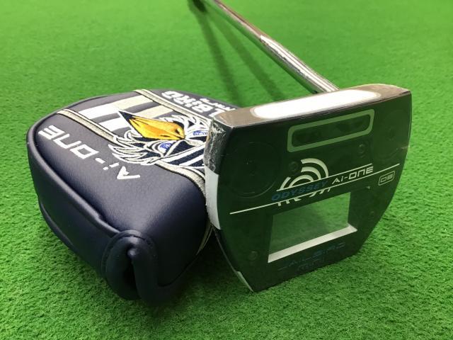 Ａｉ－ＯＮＥ　ＪＡＩＬＢＩＲＤ　ＭＩＮＩ　ＤＢ