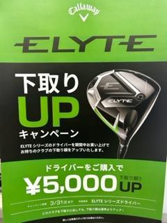 今がチャンス(^_-)-☆