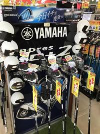 ｉｎｐｒｅｓ　UD+2