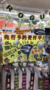 ☆ローグ　ＳＴシーリーズ☆