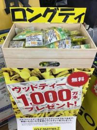 ウッドティ　プレゼント！！