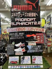 PUMA.JPG