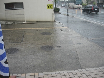 IMG_6651.jpg