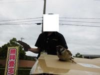 CIMG81651.JPG