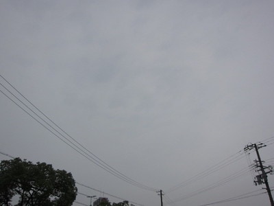 IMG_2149.JPG