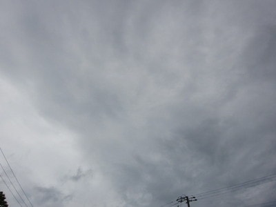 IMG_2909.JPG