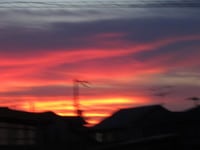 IMG_3426.JPG