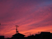 IMG_6468.JPG