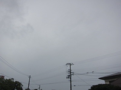 IMG_9107.JPG