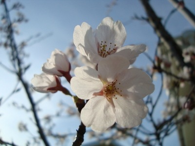 004.jpgのサムネール画像