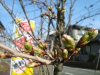 201204189.jpg