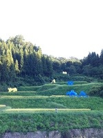 201209212.jpg