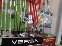 201303082.jpg