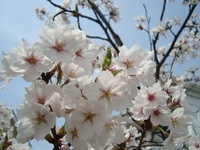 201304171.jpg