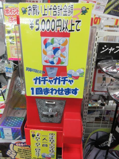 嬉しい悲鳴！
