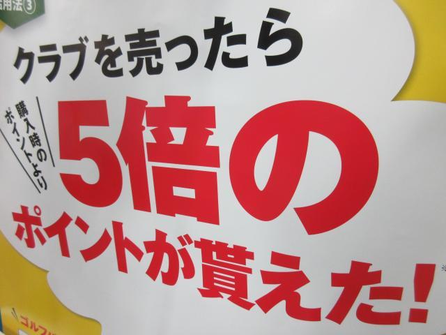 彦根の風物詩