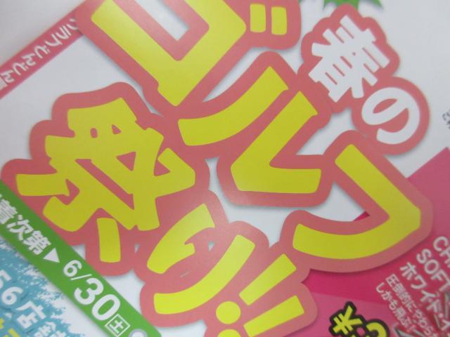 春のセール最終月となりました！