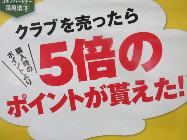 過ごしやすすぎる秋。