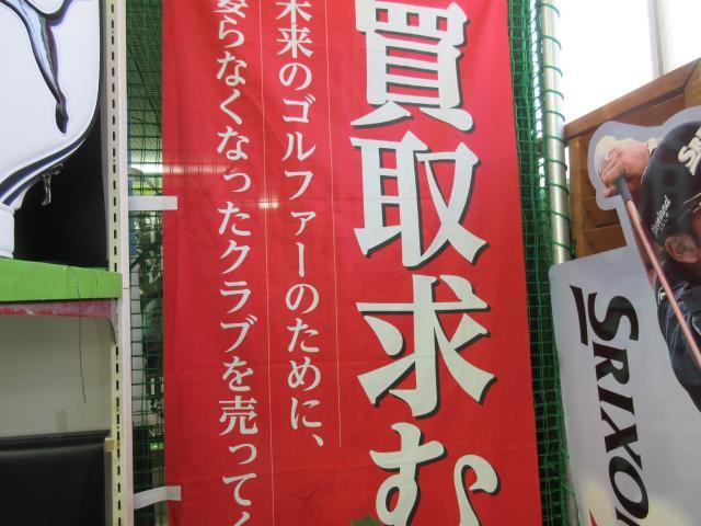 もうすぐ・・いや、もう春ですね。