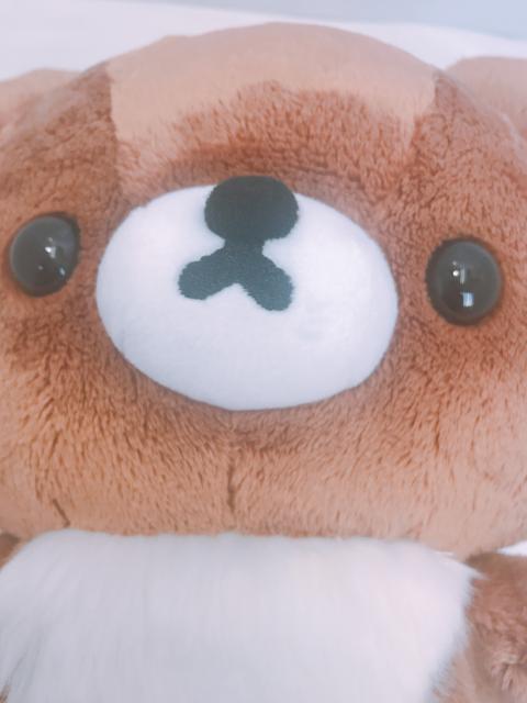 新しい仲間