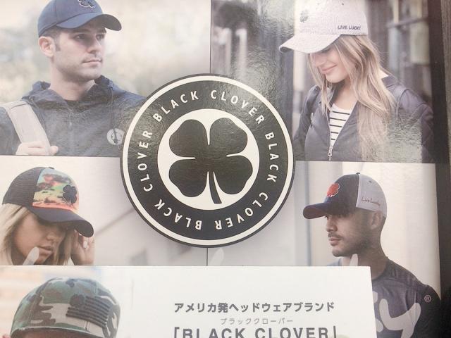 入荷しました！！！！！！！