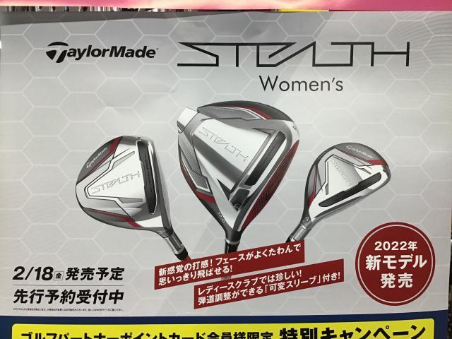 レディース入荷！