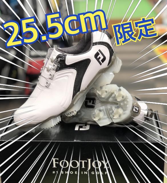 25.5cmのシンデレラ様！！