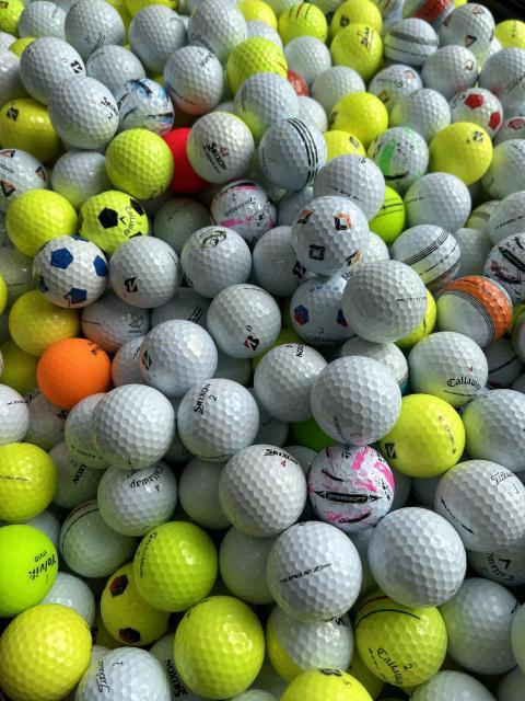 今なら、選り取り見取り！