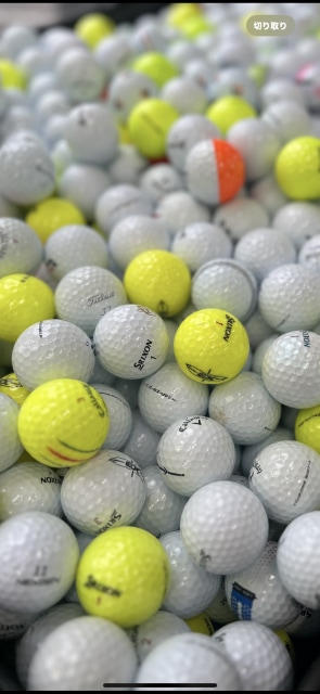 本日の入荷商品～