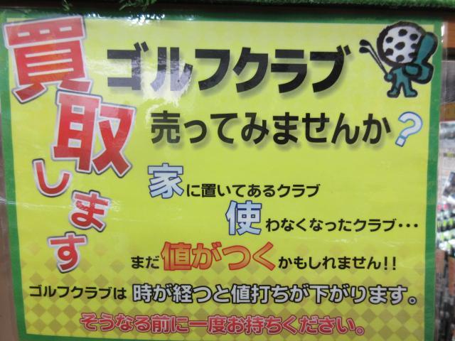 目を引きますよ～