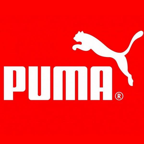 新入荷