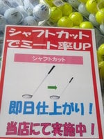 DSCN8874.jpg