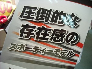 DSCN0252033.jpg