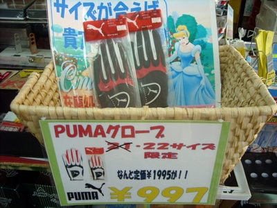 DSCN5995.jpg