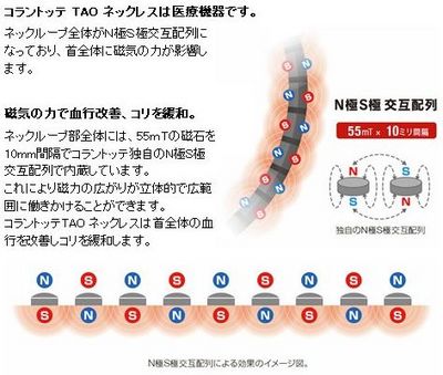 colantotte-tao-co_1[1].jpg