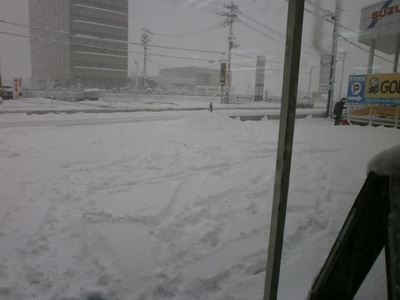P1260001.JPG