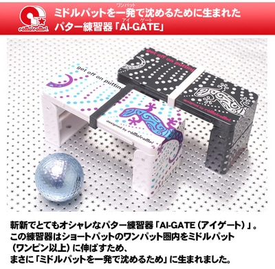 aigate-1[1].jpg