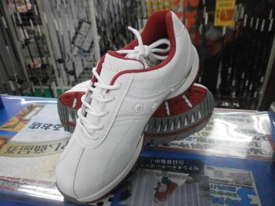 PB260001.JPG