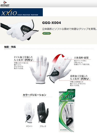 dp-gl-ggg-x004-2[1].jpg