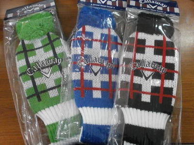 キャＨＣ040611111.JPG