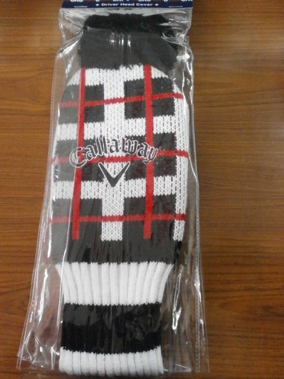 キャＨＣ040622222.JPG