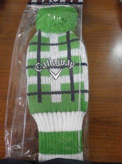 キャＨＣ04063333.JPG