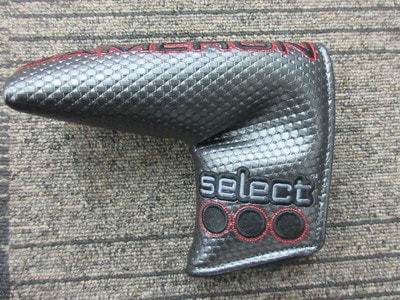 ＳＥＬＥＣＴ　１４　ＰＣ.JPG